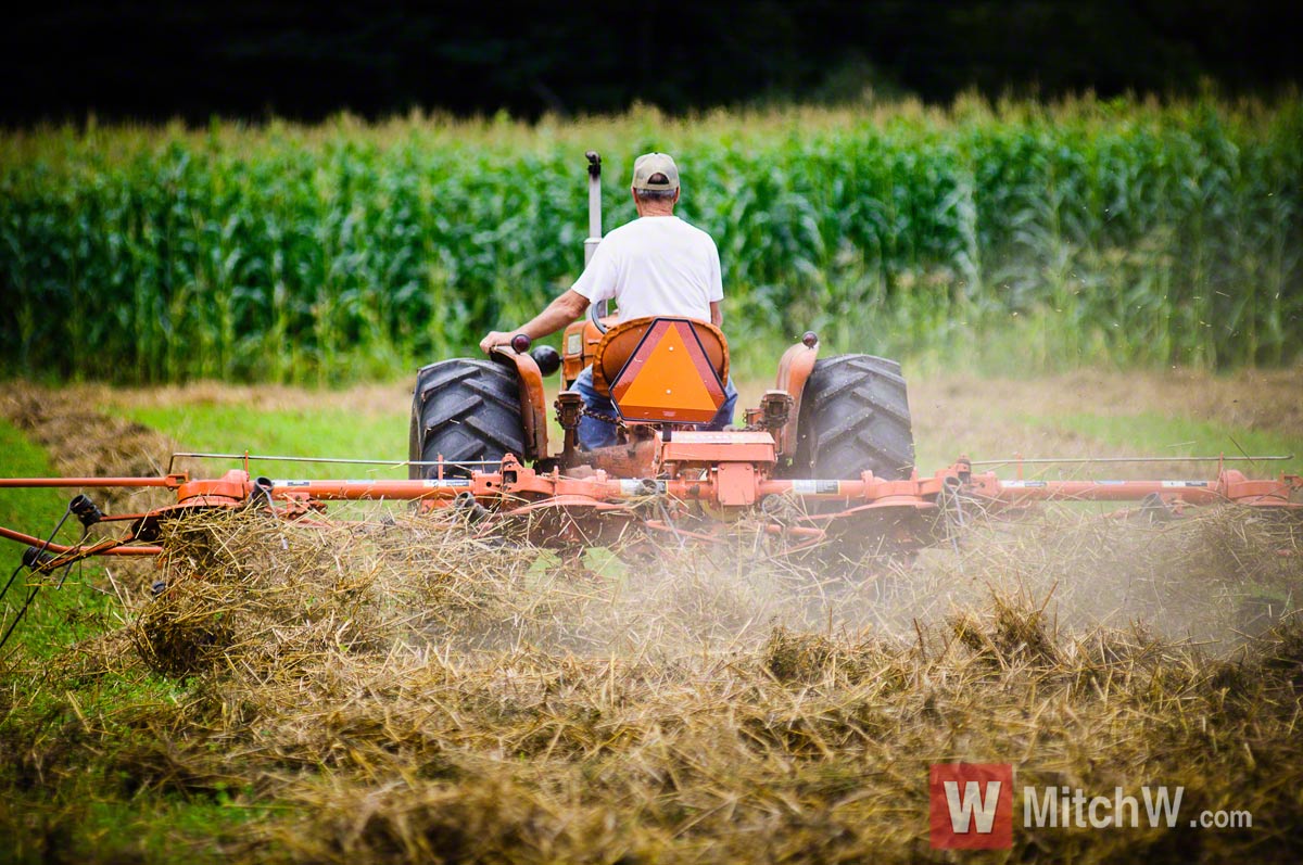 agriculture photographer upstate