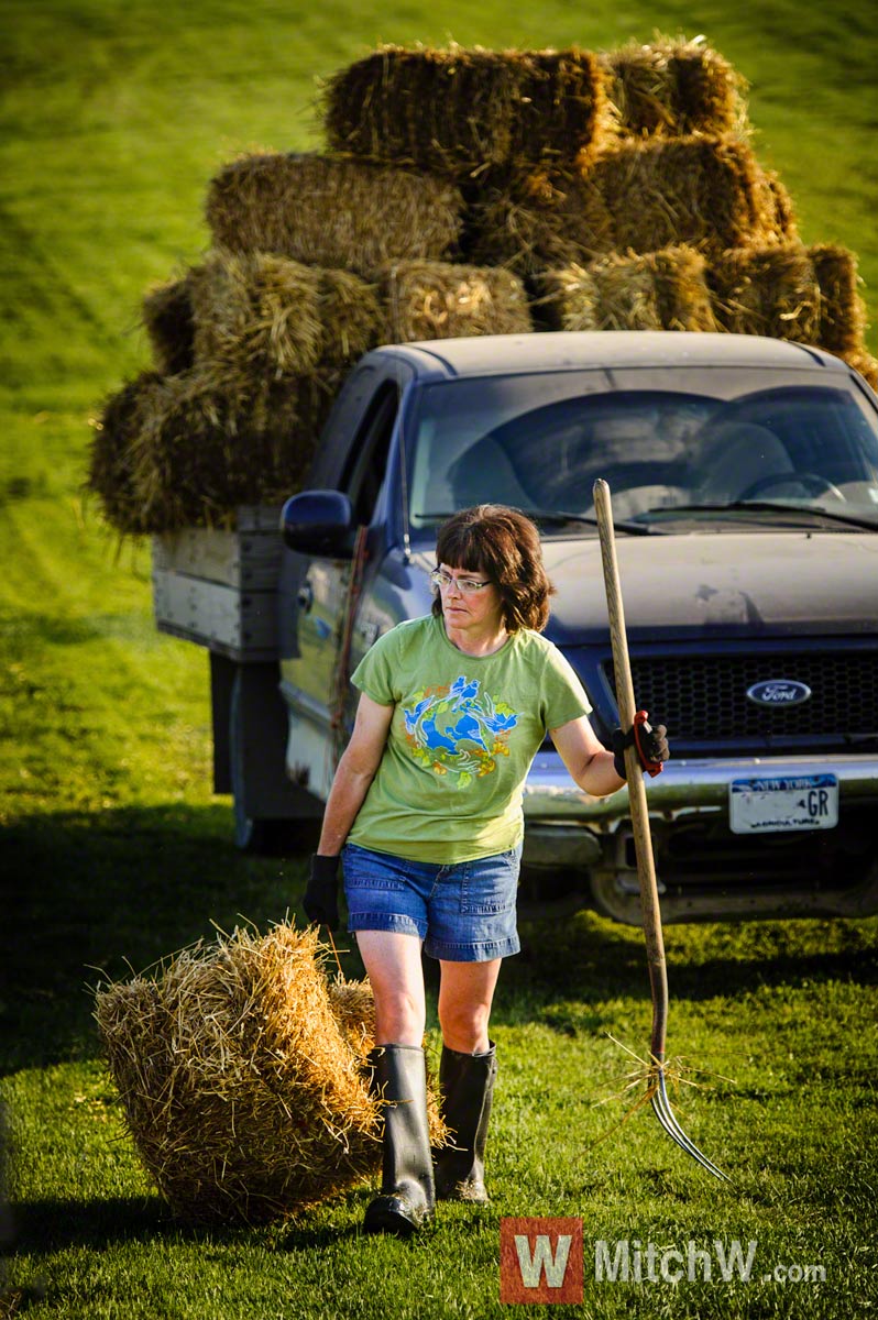 farmer with hay