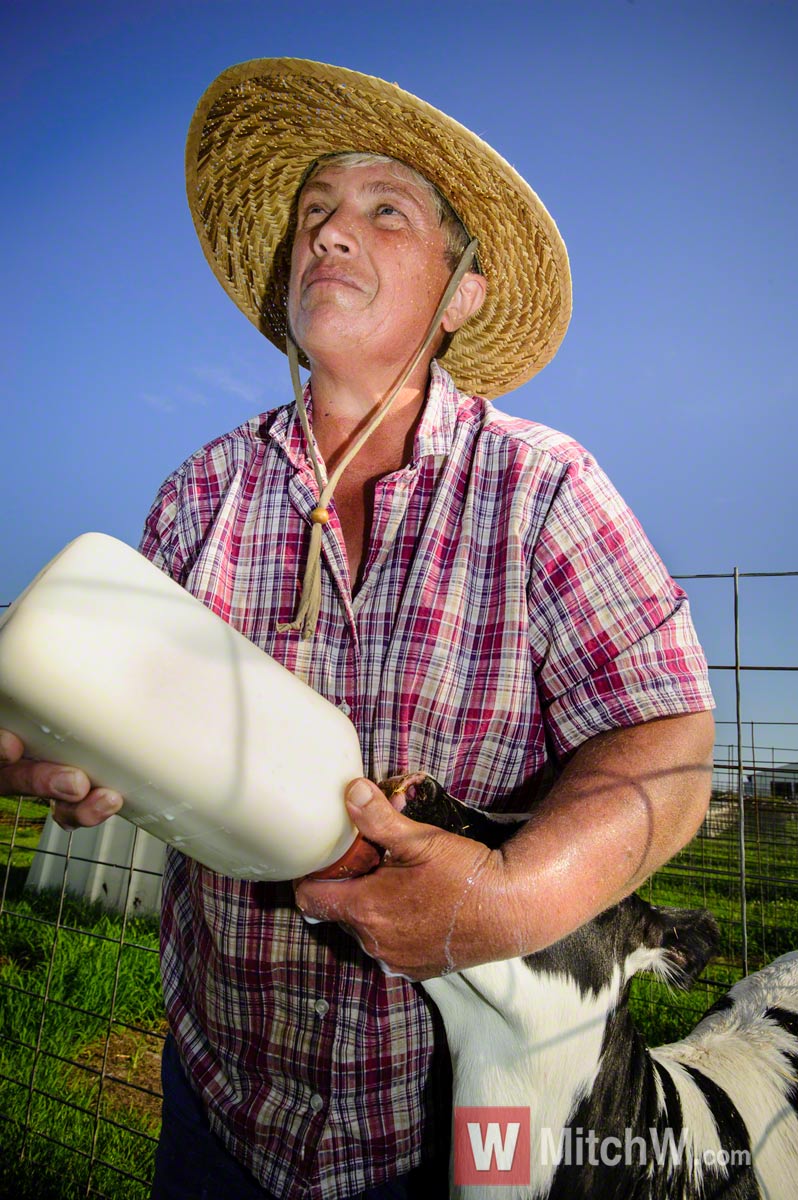 northeastern dairy farm worker