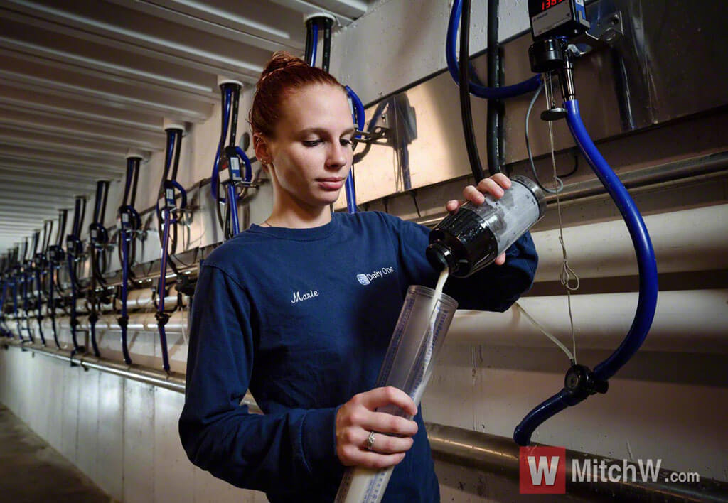 dairy farm milk testing