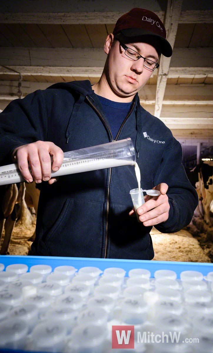 milk testing photos