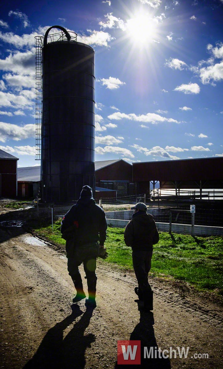 upstate new york farm