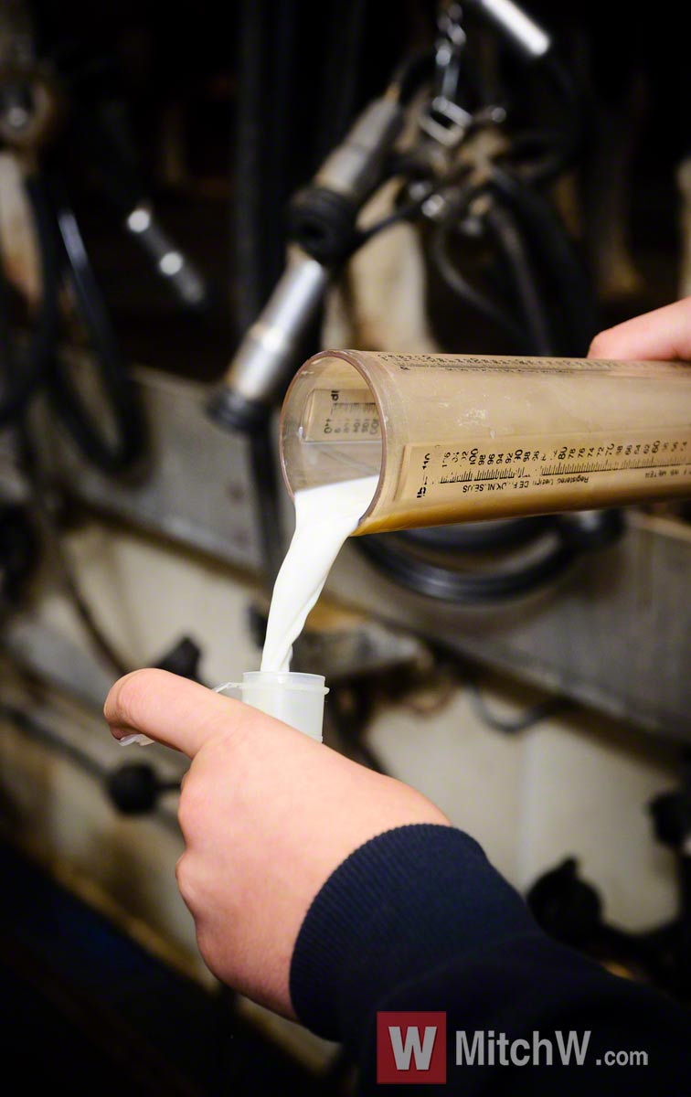 raw milk sample