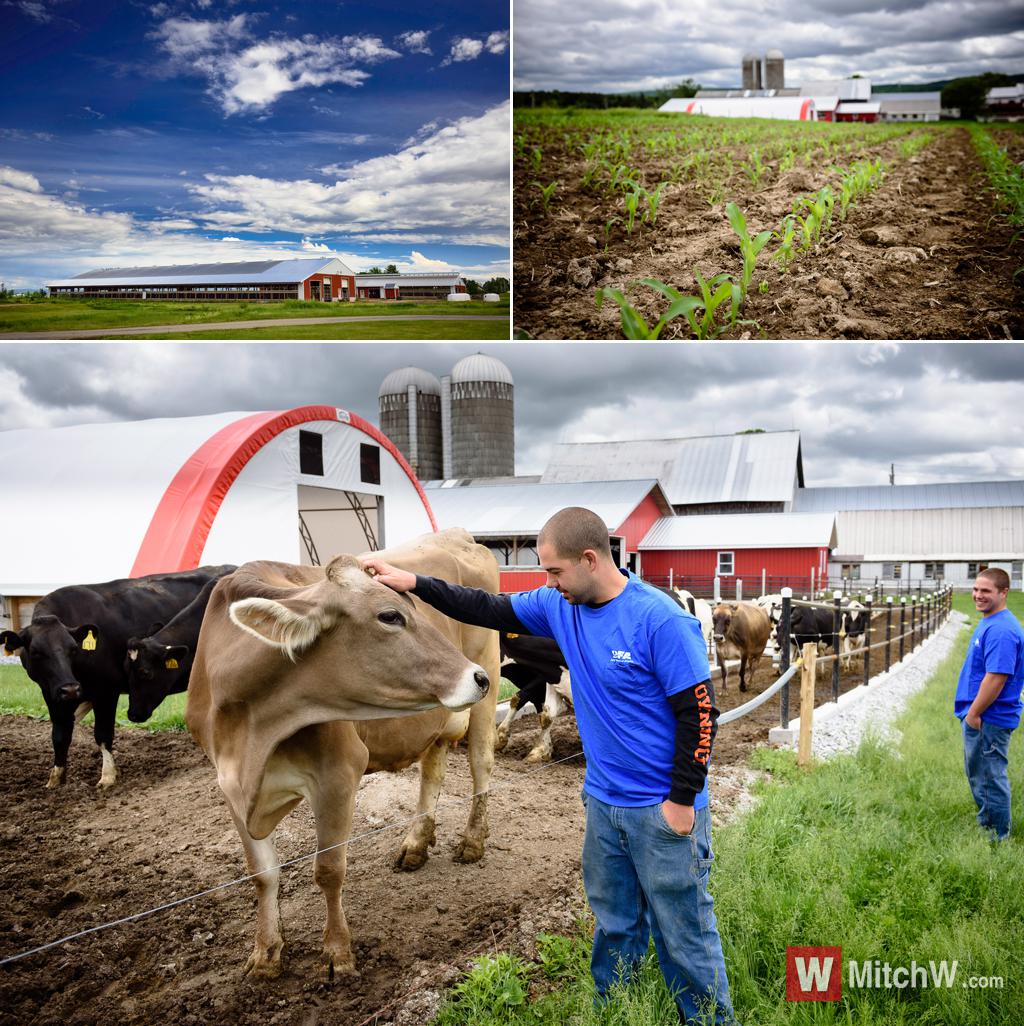 vermont agriculture family farm