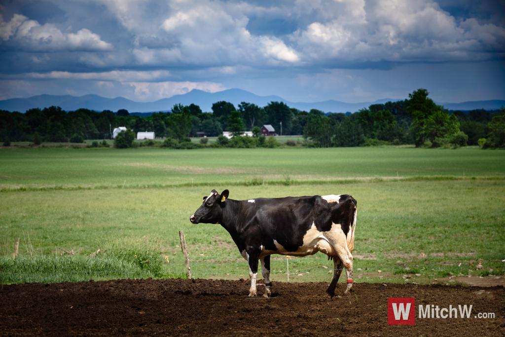 commercial photographer glens falls